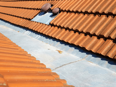 About Leaking Skylight Repair Pros Ihlen, MN